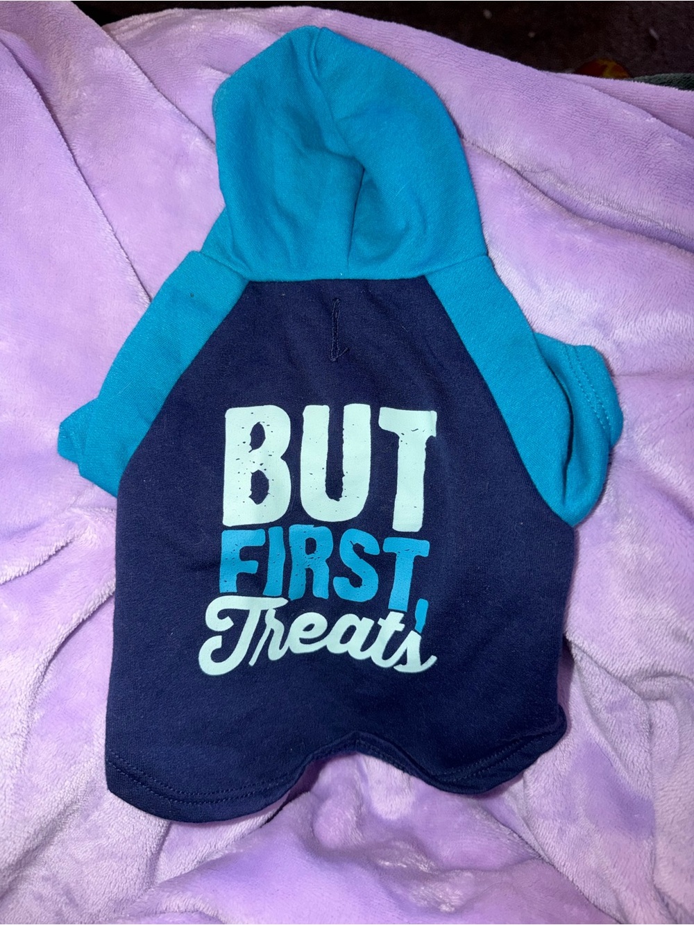 Blue and navy dog hoodie "But First Treats" size XS